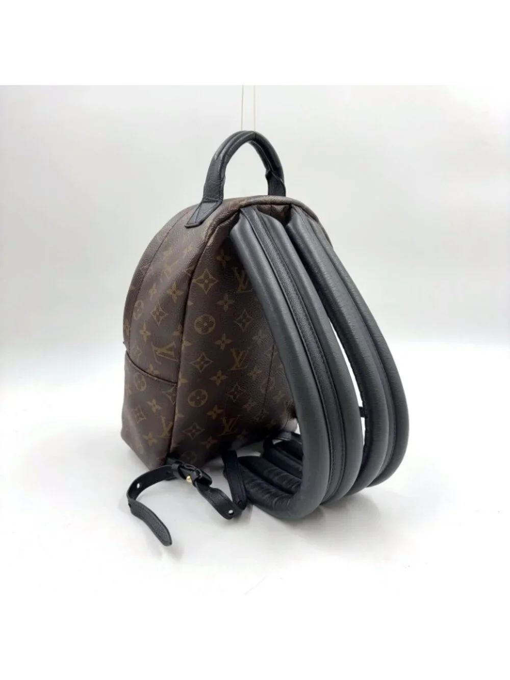 Louis Vuitton Palm Springs PM Monogram Leather